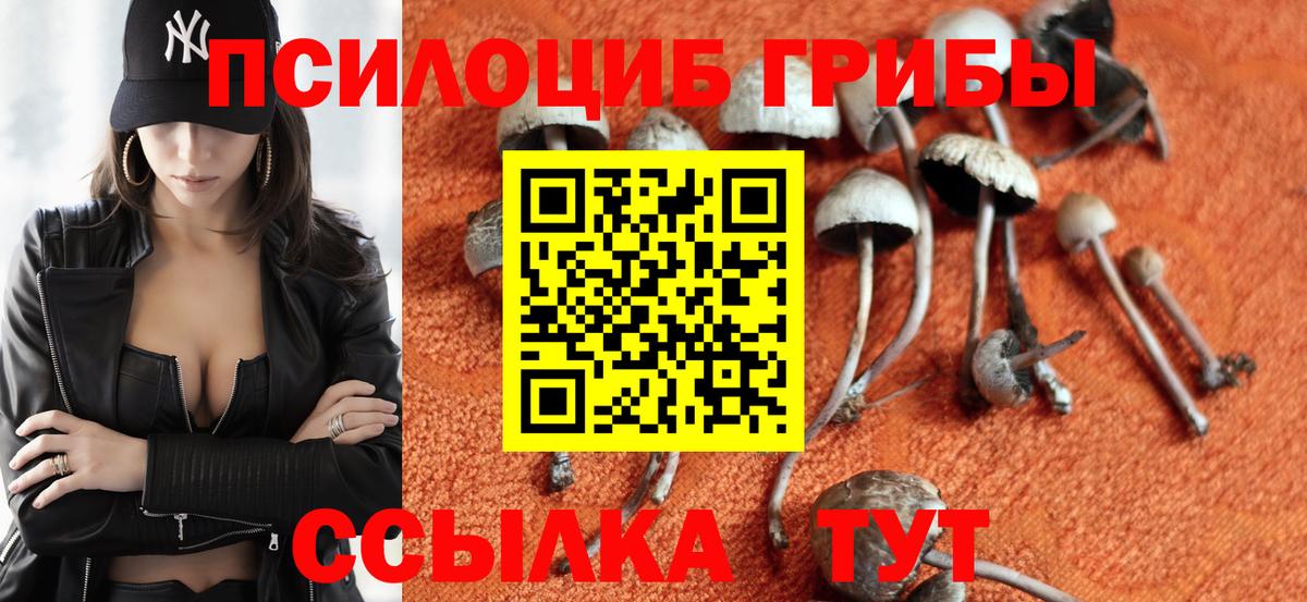 Гусь-Хрустальный  Галлюциногенные грибы мицелий  Вход с VPN  Галлюциногенные грибы GOLDEN TEACHER 