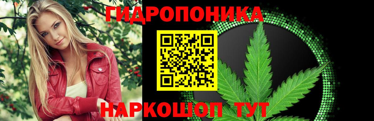 Марихуана Amnesia  МАРИХУАНА SATIVA & INDICA  Вход с VPN  Гусь-Хрустальный 